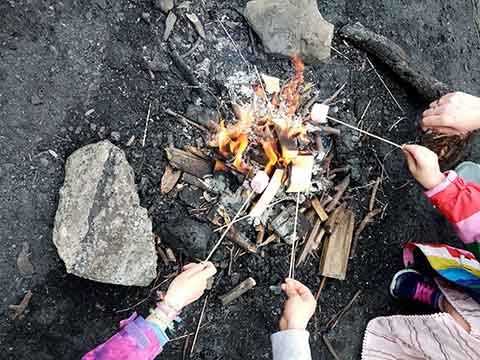 Marsh-mellows being cooked on a fire.